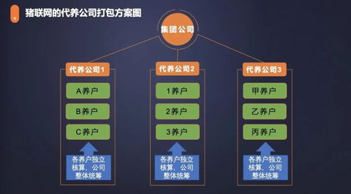 农信互联与红明彪集团合作 手机软件设计与开发引领创新发展新模式