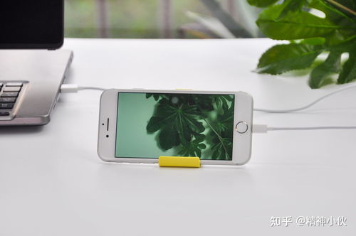 2021年苹果产品选购指南 iPhone、iPad、iWatch、AirPods全方位解析及软件设计开发推荐